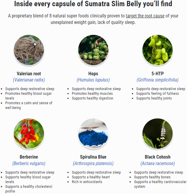 Sumatra Slim Belly Tonic Ingredients