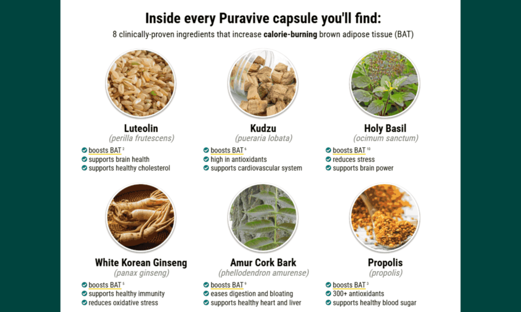 Puravive Key Ingredients